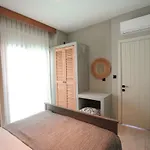 أجنحة ألب ماندالين