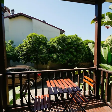 Alp Mandalin Akyaka (Mugla)