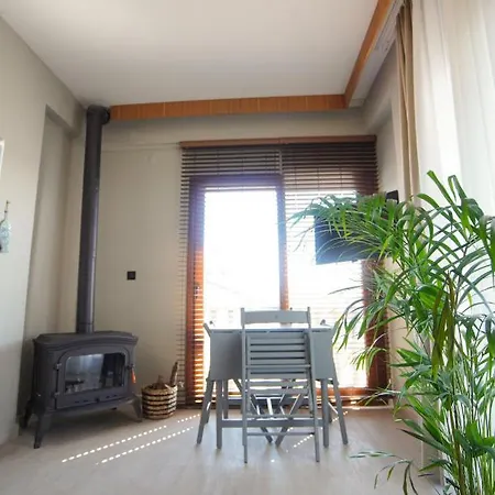 Alp Mandalin Apartment Akyaka (Mugla)