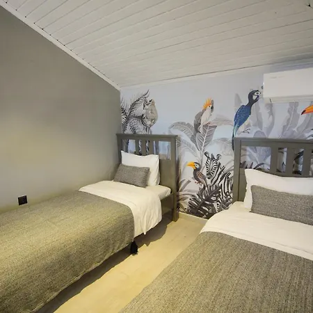 Alp Mandalin 阿奇亚卡