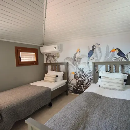 Alp Mandalin * 阿奇亚卡