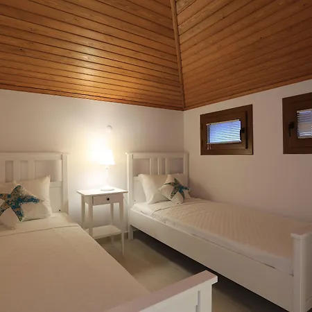 Alp Mandalin אקיאקה