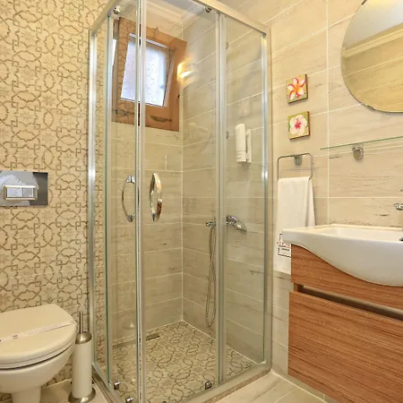 Alp Mandalin * 阿奇亚卡